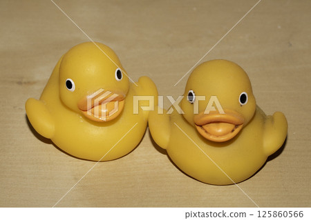 Two Cute Toy Yellow Rubber Ducks Looking Jolly on a Wood Shelf 125860566