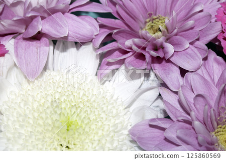 Close up of mixed white and pink flower heads from a bunch Close up of mixed white and pink flower heads from a bunch 125860569