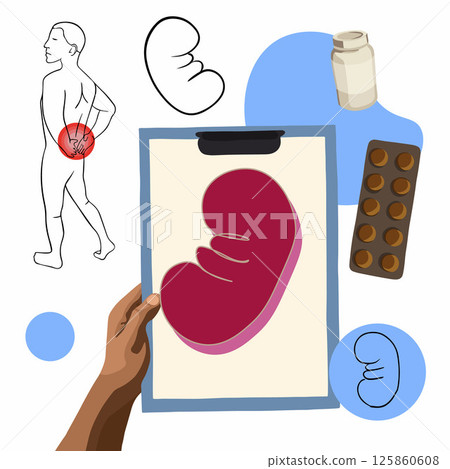 Vector isolated illustration of diagnosing kidney pain.Kidney stones. Pain and discomfort in the kidneys. Kidney diseases. Diagnosis of the urinary system. 125860608