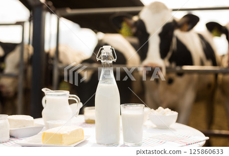 Milk, cottage cheese, cream, cheese on table against background of cows 125860633