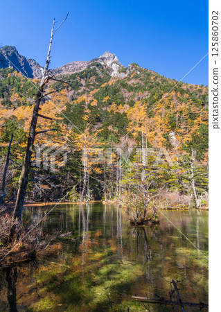 日本著名的山區度假勝地上高地的深秋:明神池和明神山 日本著名的山區度假勝地上高地的深秋:明神池和明神山 125860702