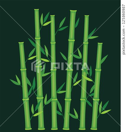 Green bamboo stems. Jungle forest silhouettes, bamboo branches with leaves, decorative bamboo shoots. Bamboo trees on white. Vector illustration. 125860987