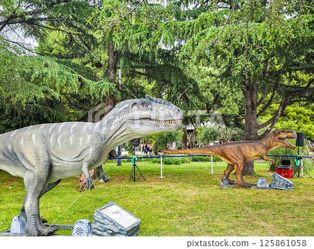 Feathered T-Rex and Dinosaurs in Summer Vacation Park Feathered T-Rex and Dinosaurs in Summer Vacation Park 125861058