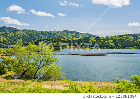 Lake Yogo in early summer Yogocho, Nagahama City, Shiga Prefecture Lake Yogo in early summer Yogocho, Nagahama City, Shiga Prefecture 125861084