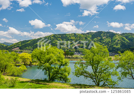 Lake Yogo in early summer Yogocho, Nagahama City, Shiga Prefecture 125861085