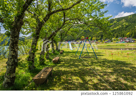 滋賀縣長濱市餘五町餘五湖畔的初夏小公園 滋賀縣長濱市餘五町餘五湖畔的初夏小公園 125861092