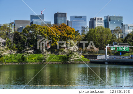 Tokyo's skyscrapers as seen from Chidorigafuchi [Chiyoda Ward, Tokyo] 125861168