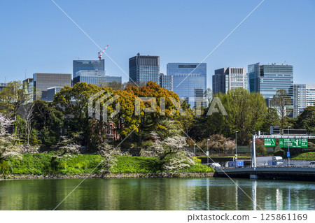 Tokyo's skyscrapers as seen from Chidorigafuchi [Chiyoda Ward, Tokyo] 125861169