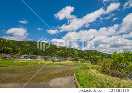滋賀縣長濱市與五町與五湖畔的初夏稻田 125861189