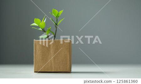 A small sprout emerges from a brown cardboard box, symbolizing growth and eco-friendly packaging A small sprout emerges from a brown cardboard box, symbolizing growth and eco-friendly packaging 125861360