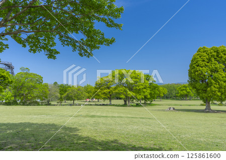The lawns and blue skies of Expo Memorial Park are a delight The lawns and blue skies of Expo Memorial Park are a delight 125861600