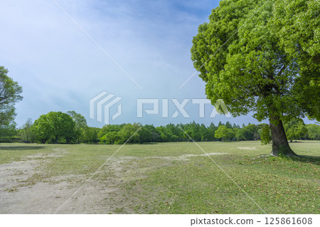 The lawns and blue skies of Expo Memorial Park are a delight The lawns and blue skies of Expo Memorial Park are a delight 125861608