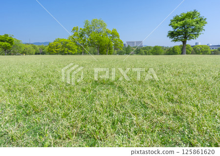 世博紀念公園的草坪和藍天令人賞心悅目 125861620