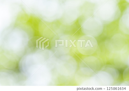 綠色散景：世博園裡的樹木 125861634