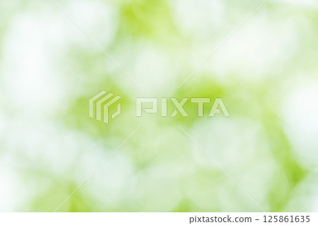 綠色散景：世博園裡的樹木 125861635