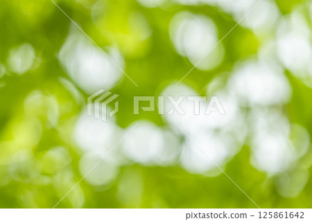 Green Bokeh: Trees in Expo Park 125861642