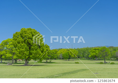 The lawns and blue skies of Expo Memorial Park are a delight The lawns and blue skies of Expo Memorial Park are a delight 125861674