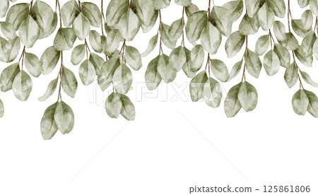 Watercolor illustration of botanical seamless Border with Eucalyptus branches and leaves. Drawing of Frame for wedding invitation, stationery backgrounds and Baby shower greeting cards. Watercolor illustration of botanical seamless Border with Eucalyptus branches and leaves. Drawing of Frame for wedding invitation, stationery backgrounds and Baby shower greeting cards. 125861806