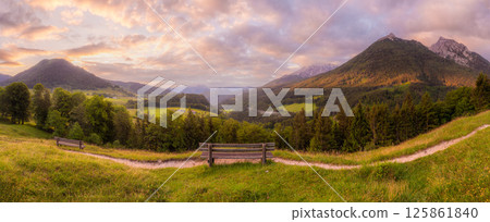 Meadow with road and bench during sunset in Berchtesgaden National Park 125861840