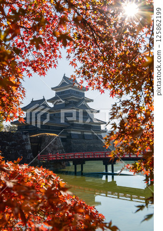 Matsumoto Castle framed by vibrant autumn leaves with morning sunlight filtering through 125862199