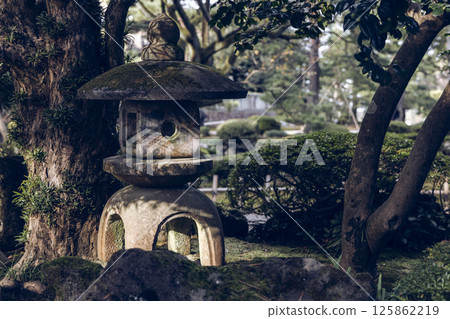 Stone lantern in a Japanese garden setting with aged textures and soft lighting Stone lantern in a Japanese garden setting with aged textures and soft lighting 125862219