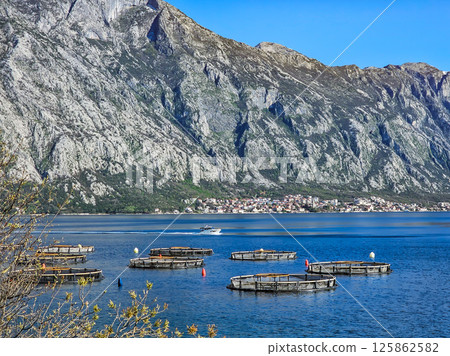 Mussel Farm in Montenegro, Marine Agriculture 125862582