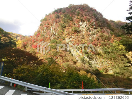 栃木縣日光市伊呂波坂的紅葉(下坡) 栃木縣日光市伊呂波坂的紅葉(下坡) 125862693