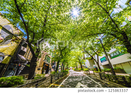 Tokyo cityscape in Japan, May, in front of Shibuya Station. View of Sakurazaka and other areas with fresh greenery. Tokyo cityscape in Japan, May, in front of Shibuya Station. View of Sakurazaka and other areas with fresh greenery. 125863337