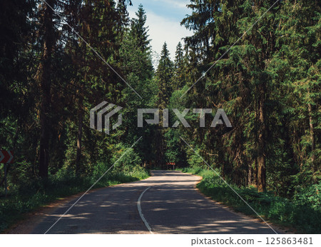 Scenic winding road surrounded by tall trees under bright blue sky in a forested area 125863481