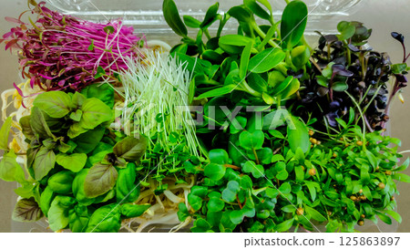 Colorful variety of fresh microgreens in plastic container Colorful variety of fresh microgreens in plastic container 125863897