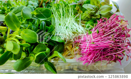 Fresh assorted microgreens with vibrant colors in plastic box 125863898