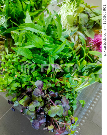 Vibrant close-up of assorted microgreens in plastic container 125863901