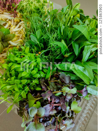 Colorful microgreens mix with fresh herbs and sprouts Colorful microgreens mix with fresh herbs and sprouts 125863903