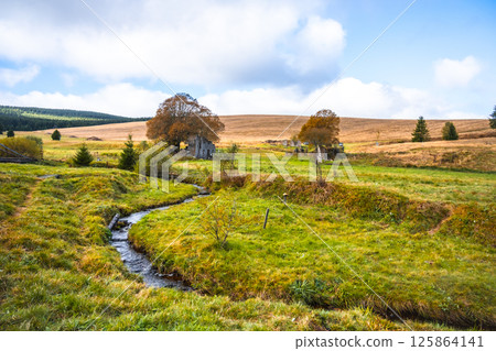 The scenic remains of the Konigsmuhle settlement are set against the backdrop of rolling hills and a winding stream in the Ore Mountains of Czechia, showcasing nature's reclaiming of the area. 125864141
