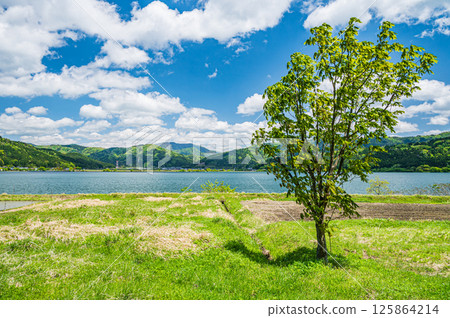 Lake Yogo in early summer Yogocho, Nagahama City, Shiga Prefecture Lake Yogo in early summer Yogocho, Nagahama City, Shiga Prefecture 125864214