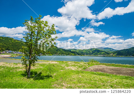 Lake Yogo in early summer Yogocho, Nagahama City, Shiga Prefecture Lake Yogo in early summer Yogocho, Nagahama City, Shiga Prefecture 125864220