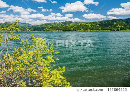 Lake Yogo in early summer Yogocho, Nagahama City, Shiga Prefecture Lake Yogo in early summer Yogocho, Nagahama City, Shiga Prefecture 125864233