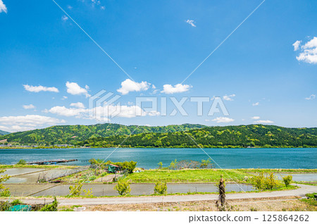 初夏時節,羽河湖沿岸的川波地區的稻田。滋賀縣長濱市與鄉町 初夏時節,羽河湖沿岸的川波地區的稻田。滋賀縣長濱市與鄉町 125864262
