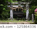 Senmuro Shrine and the camphor tree at Senmuro Shrine 125864336