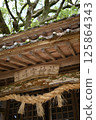 Senmuro Shrine and the camphor tree at Senmuro Shrine 125864343