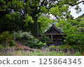 Senmuro Shrine and the camphor tree at Senmuro Shrine 125864345