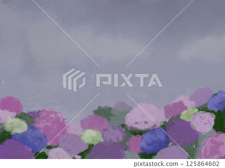 繡球花的背景 125864602