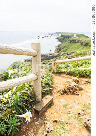 藍天下的東平安名崎與喇叭花 125865096