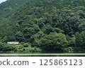 夏季被濃綠環繞的當地火車線路 125865123