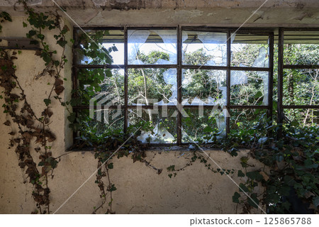 the window of an abandoned building 125865788