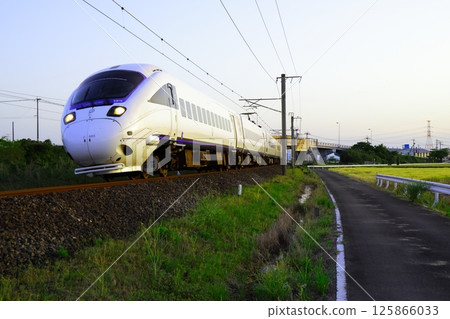 A white seagull running in the setting sun A white seagull running in the setting sun 125866033