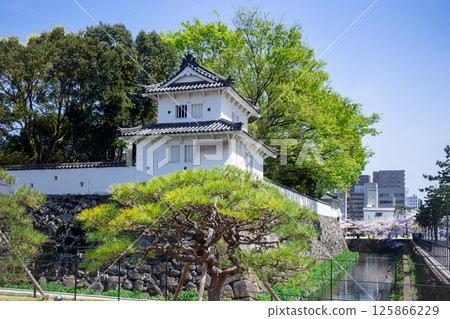 Oita Funai Castle ruins and cherry blossoms in full bloom Oita Funai Castle ruins and cherry blossoms in full bloom 125866229