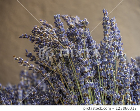 lavender bag in provence market detail 125866312
