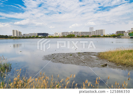 Yatsu tidal flat (Narashino City, Chiba Prefecture) 125866350