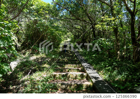 younger, baby boy, boy 125866390